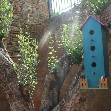 Ca L'avia Remei Holiday home *
