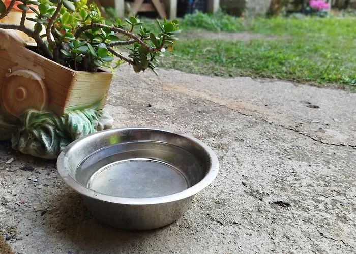 Ca L'avia Remei * Castelló d'Empúries